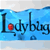 LadyBugv32BuZZ