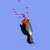 Bloodysealbounce