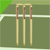 Npcricket