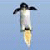 Penguinflight