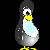 Penguinpaul