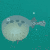 ShootfishGC