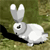 Animalhunter